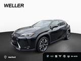 Lexus UX 250H Style Edition SiHz RFK ToTWink - Lexus Gebrauchtwagen von 2022