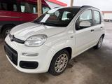 Fiat Panda New Panda #Klima #Euro5 #S-Heft #134Tkm - gebrauchte Fiat Panda aus dem Jahr 2013