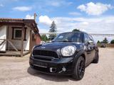 MINI COOPER_S Countryman Pepper - MINI Cooper S: Kleinwagen, Countryman
