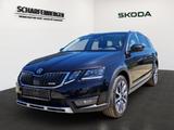 Skoda Octavia Combi Scout *Sthz.,AHK,RFK,TWA* - Skoda: Combi Scout