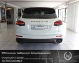 Porsche Cayenne Diesel Platinum Ed.*PANO*LUFT*LED*KAMERA - Porsche Gebrauchtwagen in Reutlingen