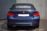 BMW 220i Luxury Line Navi Totwinkel Leder Keyless-Go - blaue BMW 2er Reihe