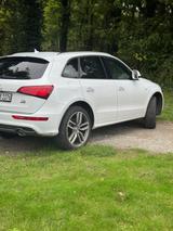 Audi Q5 3.0 TDI S tronic quattro - - Audi Q5