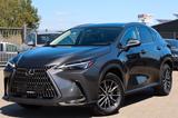 Lexus NX 350h Hybrid*LED*Keyless*Nachlakierungsfrei - Lexus NX 350h Gebrauchtwagen