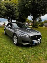 Jaguar XF E-Performace 163PS Portfolio Automatik Po... - Jaguar XF: Portfolio