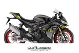 Aprilia RSV4 1100 - APRILIA RSV4 1100