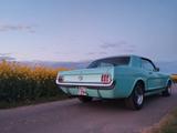 Ford Mustang V8  1965 - gebrauchte Ford Mustang aus dem Jahr 1965