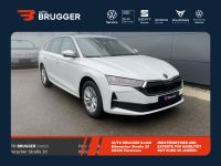 Skoda Octavia - Vorschau Bild 1