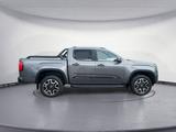 Volkswagen Amarok 3.0 TDI DSG 4Motion Panamericana *20`*DWA - Volkswagen: Panamericana