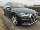 Audi SQ5 3.0 TFSI tiptronic quattro - Panorama - graue Audi SQ5