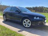 Audi A3 1.6 TDI (DPF) 77kW Ambition Black Edition  - Audi A3 aus 2011: 1.6