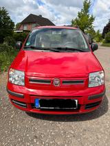 Fiat Panda - Fiat Panda: Rot
