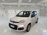 Fiat FIAT PANDA 1.2 69 CV E6 EASY 5 PORTE BERLINA - Fiat: Berlina