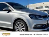 Volkswagen Polo V Highline  1.2 TSI  90PS - Volkswagen Polo: 2.9