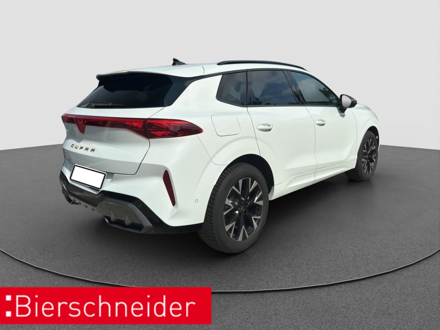 Cupra Terramar - Bild 7