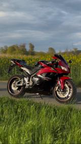Honda CBR 600 rr ABS Sammlerfahrzeug - HONDA 2009 CBR 600 RR