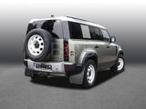 Land Rover Defender 110 D200 Winter + Fahrassistenz-Paket - Land Rover aus 2020