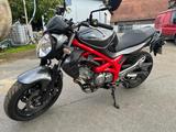 Suzuki Gladius 650 - SUZUKI GLADIUS 650