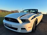 Ford Mustang 3.7 V6 Cabrio, Unfallfrei, Au... - Ford Mustang aus 2013