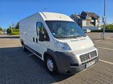 Fiat Ducato Kühltransporter - Kühltransporter