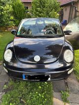 Volkswagen Beetle Cabrio 1.6 - Volkswagen Beetle aus 2005: Cabrio