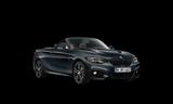 BMW 220i SAG Cabrio M Sport NaviProf RFK 18" 2.Hand - BMW 220: M Sport