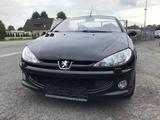 Peugeot 206 Cabriolet CC Platinum/Leder/Tüv Neu - Peugeot 206: Roadster