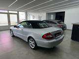 Mercedes-Benz CLK 350 Cabrio*Memory*Bi-Xenon*Leder*Sitzheizung - Mercedes-Benz CLK 350 in Berlin