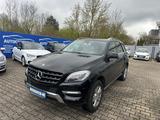 Mercedes-Benz ML 350 CDI BlueTec/ 4MATIC 7G-Tronic/Navi-Comand - Mercedes-Benz mit Diesel-Antrieb: Ml