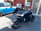 Ducati Xdiavel geringe Laufleistung, top gepflegt - DUCATI XDIAVEL