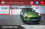 Porsche Macan Sport-Design Mambagrün Panorama PDLS Bose - Porsche: Grün