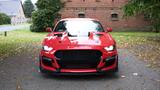 Ford Mustang 2.3  Shelby gt 500 1. Jahr Garantie - Ford Mustang: Coupe, Shelby