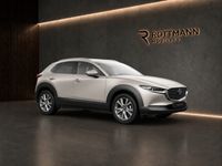 Mazda CX-30 - Vorschau Bild 8
