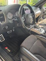 Audi SQ5 3.0 TDI competition tiptronic quattro - - Audi SQ5: Competition