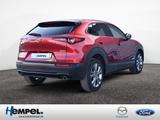 Mazda CX-30 2.5L e-SKYACTIV G 140ps SHZ NAVI ACC HUD - rote Mazda CX-30