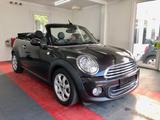 MINI Cooper Cabrio - MINI Cooper: Braun, Cabrio