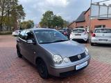 Volkswagen Polo IV Cricket*KLIMA*INSPEKTION NEU*HU NEU* - gebrauchte VW Polo aus dem Jahr 2004