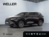 Lexus NX 350h Executive Line *360*Navi*LED*el Heck*SHZ - Lexus aus 2024: Nx