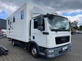 MAN TGL 8.180 4x2  FG Pferdetransporter (3er) - Tier-/Pferdetransport 3 pferde