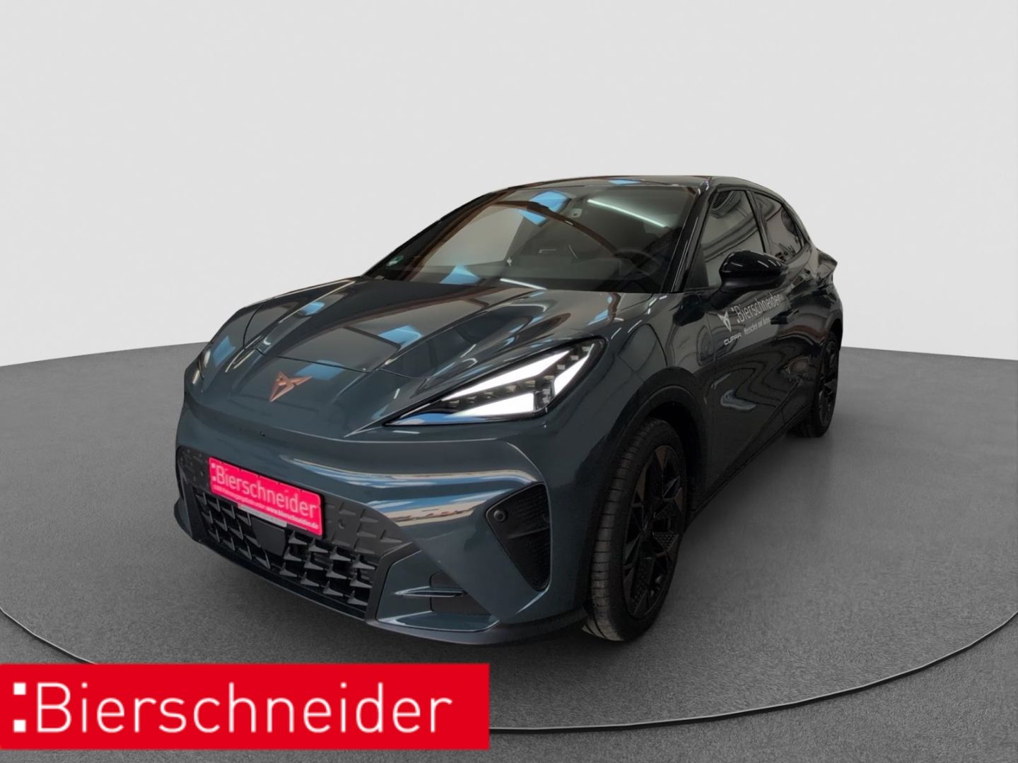 Cupra Raval Endurance Edition NAVI RFK MATRIX ACC