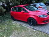 Seat Altea  Export - Seat Altea aus 2004