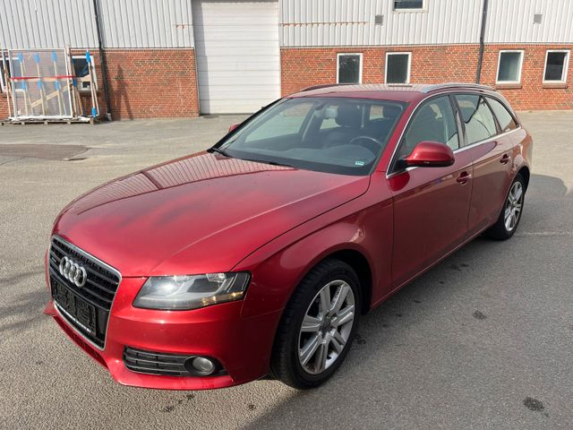 Audi A4 3.0 TDI (DPF) quattro Ambiente Avant