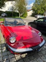 Alfa Romeo Spider - Alfa Romeo aus 1986