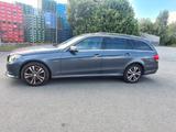 Mercedes-Benz E 250 CDI 4-Matic Leder Navi LED AHK - Mercedes-Benz E 250: Cdi 4matic
