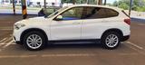 BMW X1 xDrive25d A Advantage 