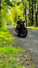 Moto Guzzi V7 Stone Special Edition 