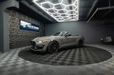 Ford Mustang Shelby GT 500 5.0 V8 PREMIUM Performance - Ford Mustang: Shelby