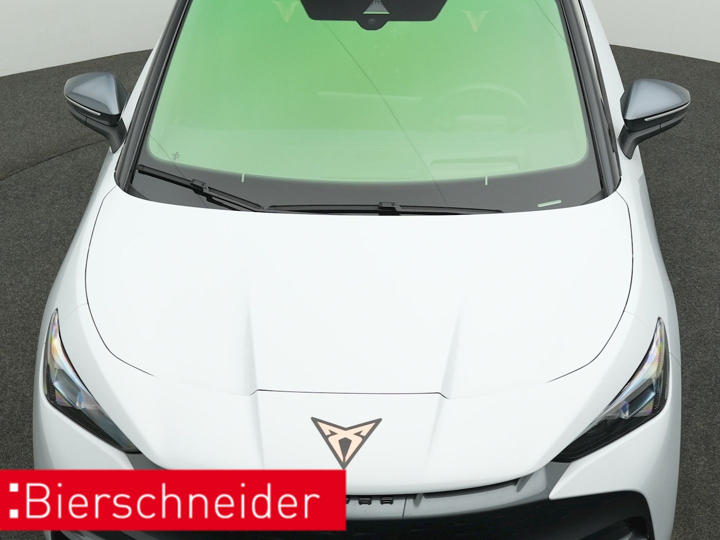 Cupra Tavascan - Bild 26