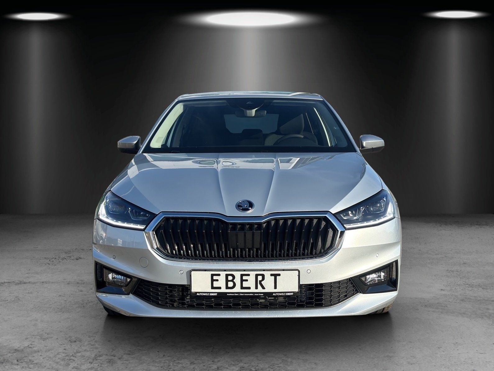 Fahrzeugabbildung SKODA Fabia Tour 1,0 TSI 85 kW DSG