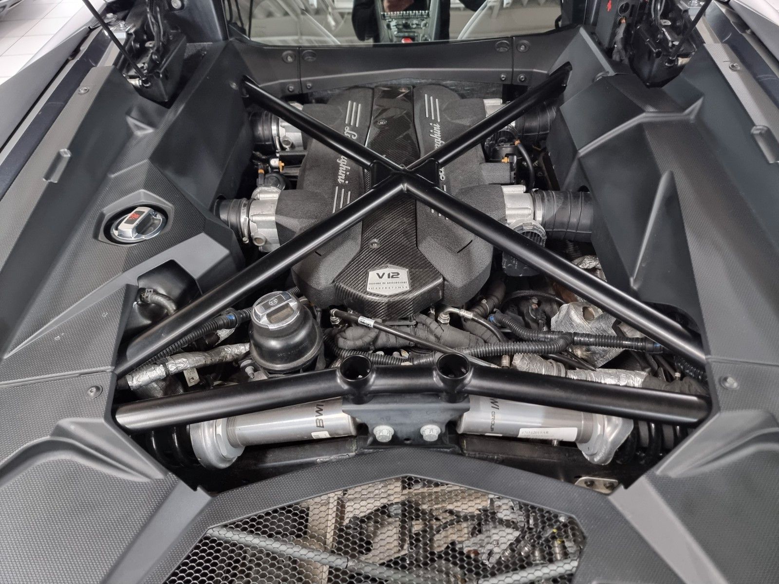 Fahrzeugabbildung Lamborghini Aventador S/Carbon/Lift/Matt/Gr. Service 11/25